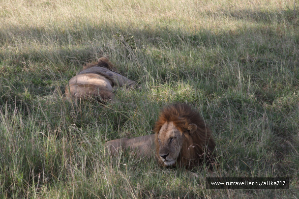 photo 107202
