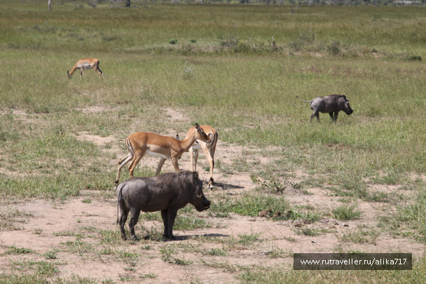 photo 107206