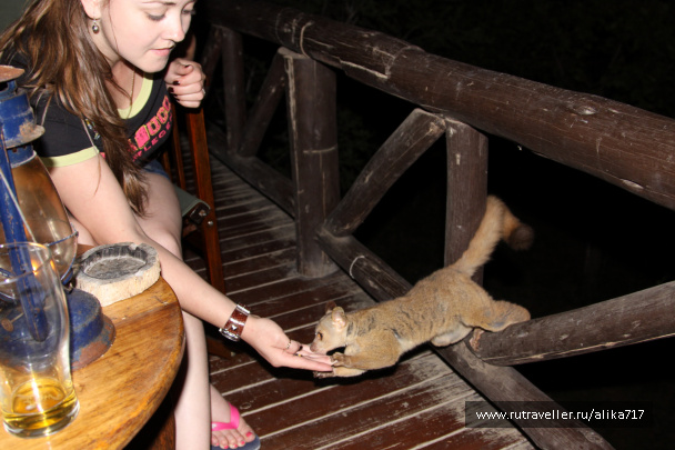 photo 107209