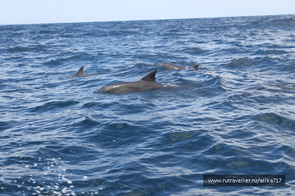 photo 107216