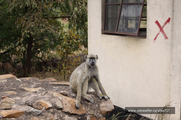 photo 107225