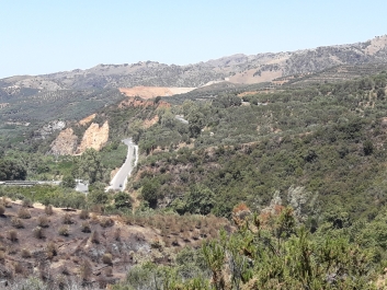 photo 1325092