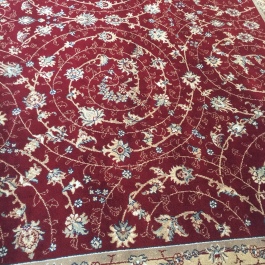 photo 1131555