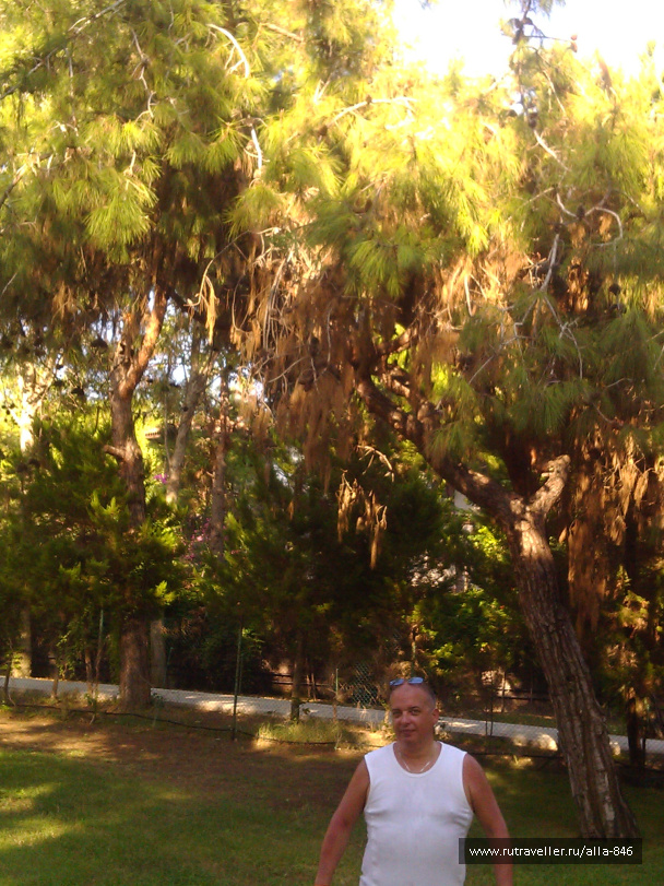 photo 473258