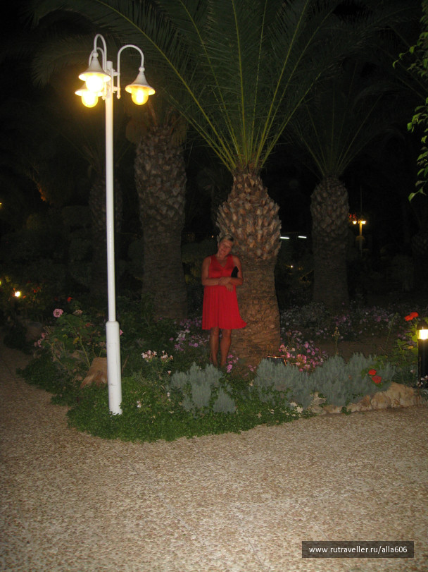 photo 993071