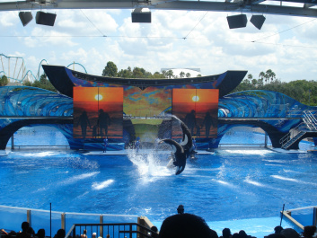 photo 154213