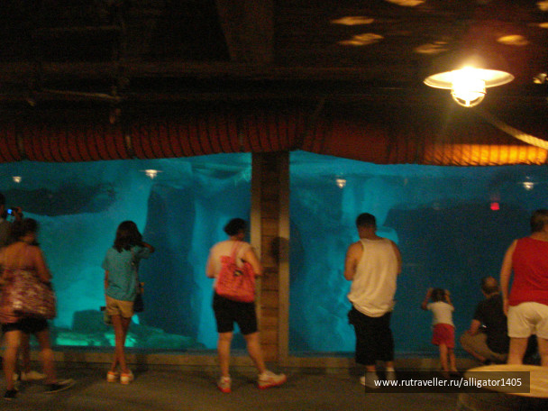 photo 154216