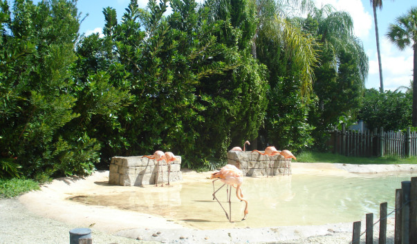 DSC09061