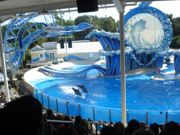 photo 154224