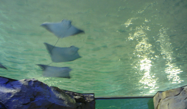 DSC09014