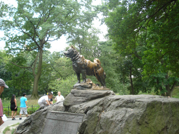 photo 153822