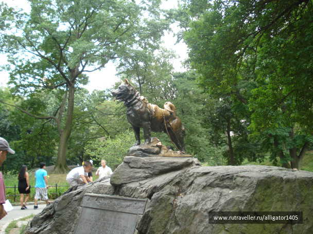 photo 153822