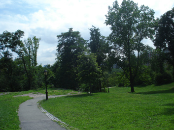 photo 153827