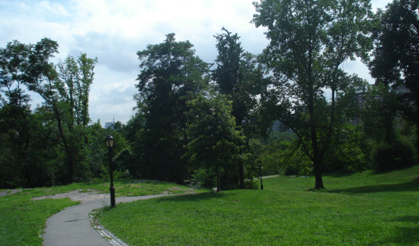 DSC08339