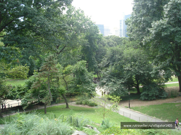 photo 153829