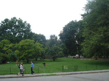 photo 153833