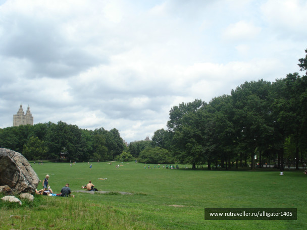 photo 153835