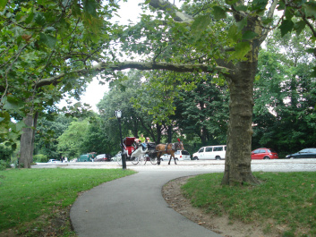 photo 153838