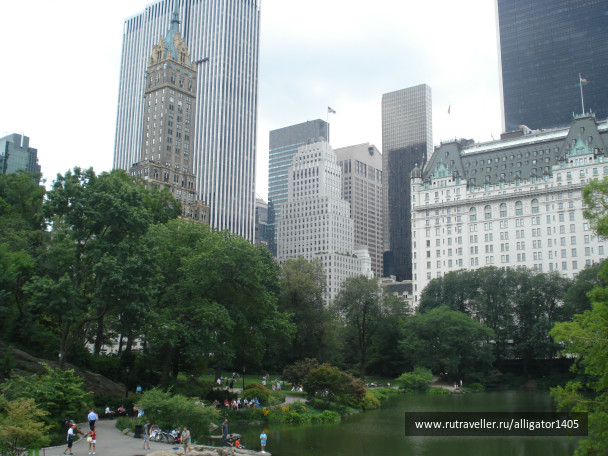 photo 153839