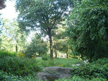 photo 153843