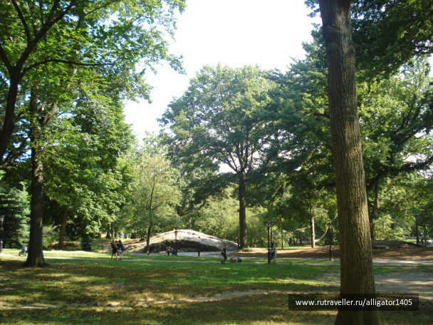 photo 153844