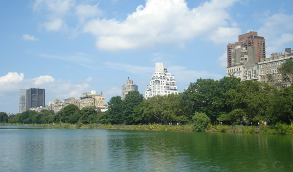 DSC08202