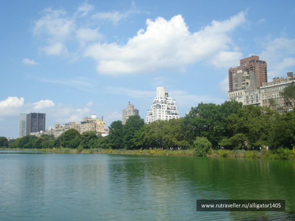 photo 153846