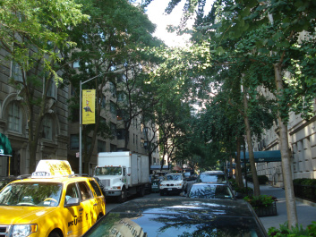 photo 153853