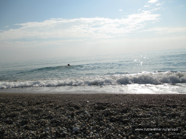 photo 225565