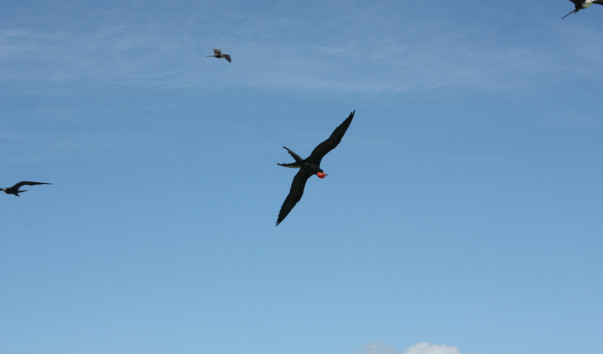 dom09_2 208