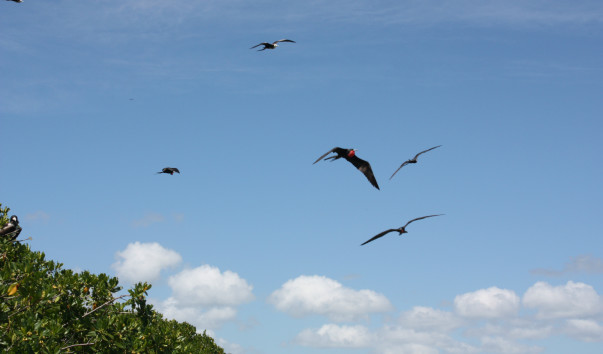 dom09_2 207
