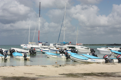 photo 229889