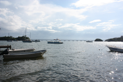 photo 230077