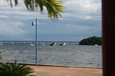 photo 230078