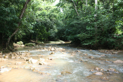 photo 230093