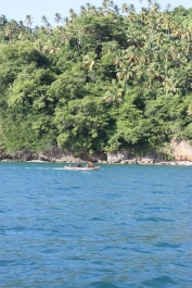 photo 230073