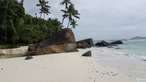 photo 1167730