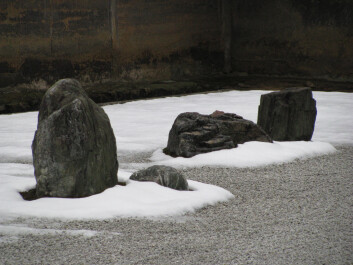 photo 24654