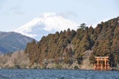 photo 24793