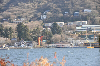 photo 24796