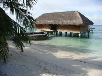 photo 233910