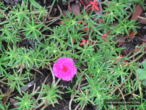 photo 25353