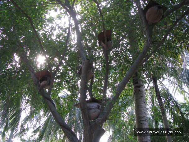 photo 25367
