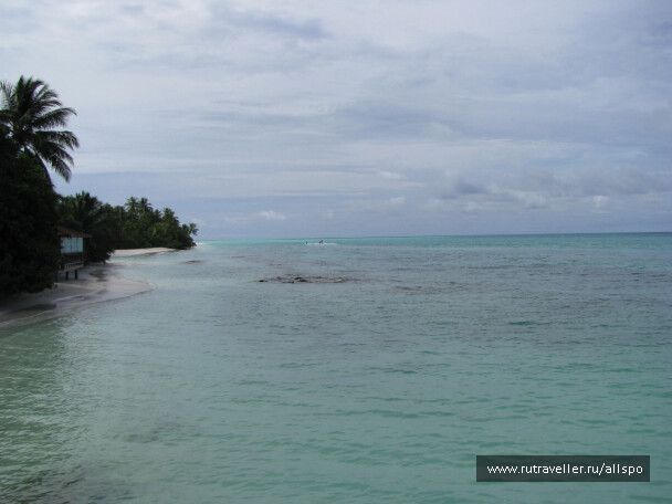 photo 25372
