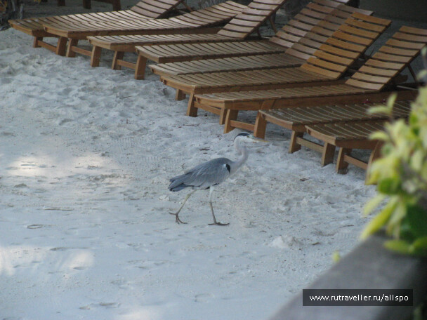 photo 25402