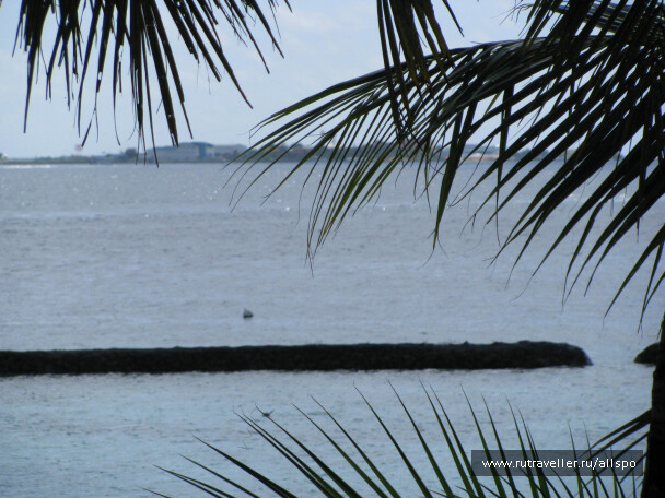 photo 25429
