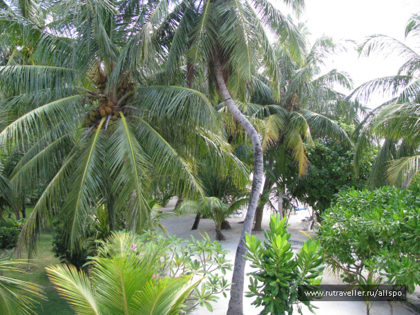 photo 25430