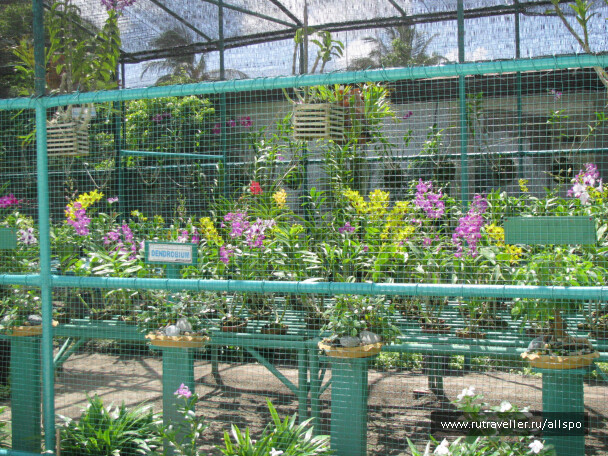 photo 25433