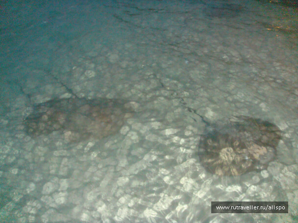 photo 25857
