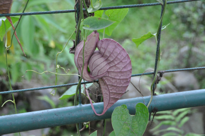 photo 410853